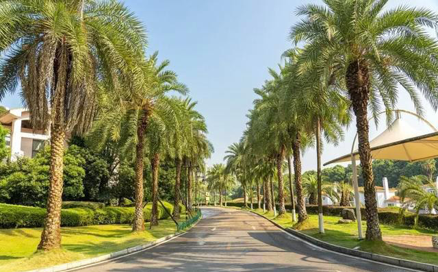 《乘風(fēng)破涼的姐姐》入住別墅酒店內(nèi)景設(shè)計(jì)大曝光 《乘風(fēng)破涼的姐姐》入住別墅酒店內(nèi)景設(shè)計(jì)大曝光