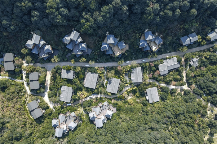 樹屋酒店設計鳥瞰圖