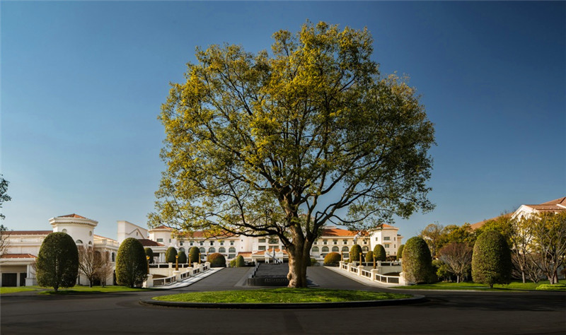 大境設(shè)計專業(yè)酒店設(shè)計公司