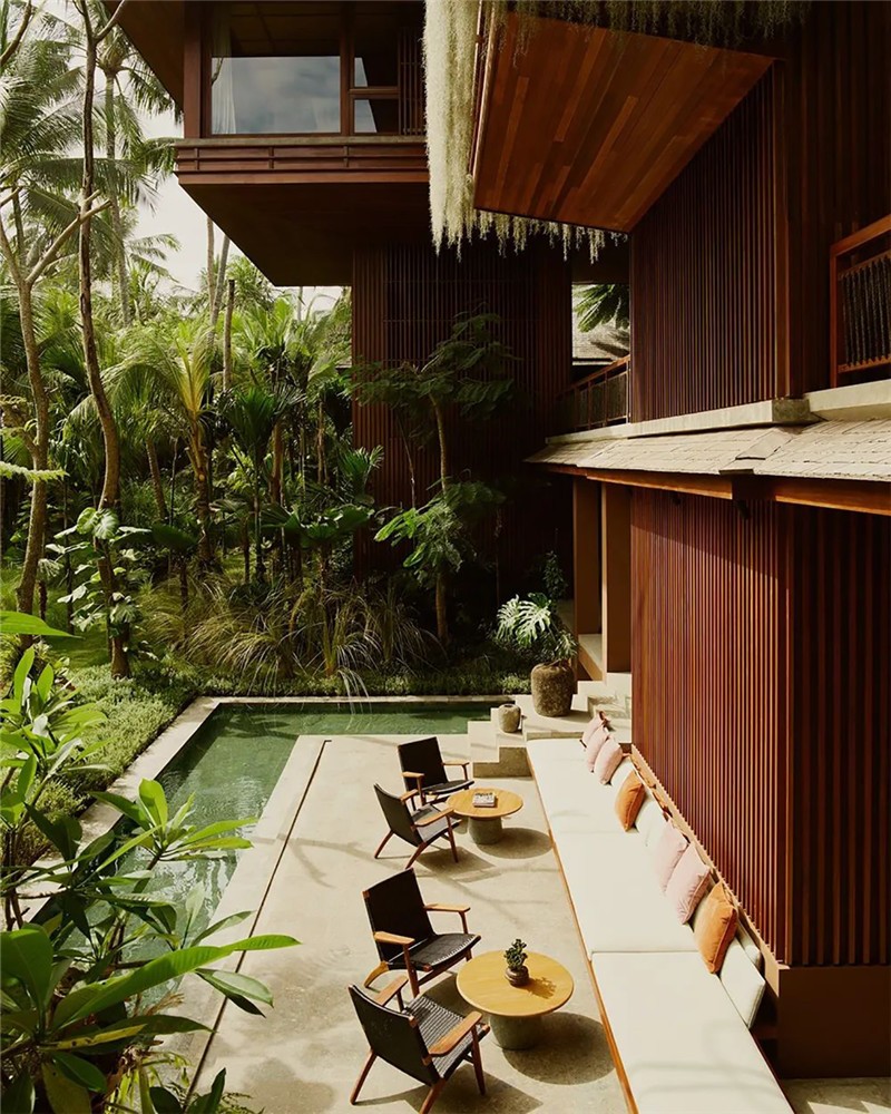 熱帶雨林加木屋  Lost Lindenberg度假酒店民宿設(shè)計