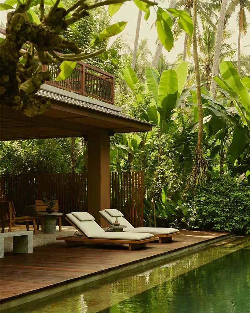 熱帶雨林加木屋  Lost Lindenberg度假酒店民宿設(shè)計